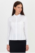 Классическая женская рубашка Emka Fashion b 2102/vonda
