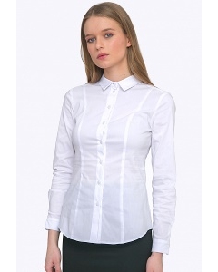 Женская приталенная рубашка Emka B2292/amina