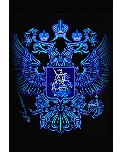 Мужская клубная футболка Герб России