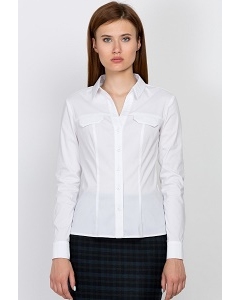 Классическая офисная рубашка Emka Fashion b 2104/vonda